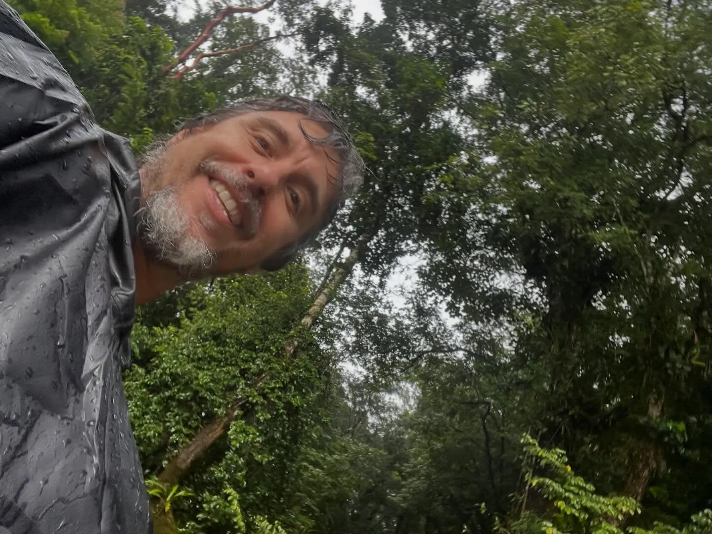 El llamado del Jaguar en la selva de Chiapas — viaje iniciático con Casa Dakini